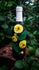 Handcraft Bottle for decoration